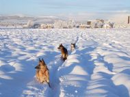 December 2009 deep snow